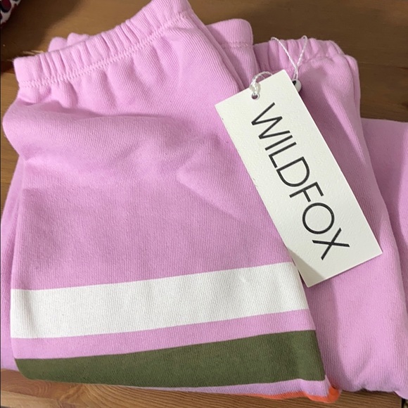 Wildfox Couture Knox Vintage Stripe Sweatpant - Picture 4 of 6